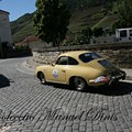 14ª Edição500 Milhas ACP 2019 Pinhão (69).JPG
